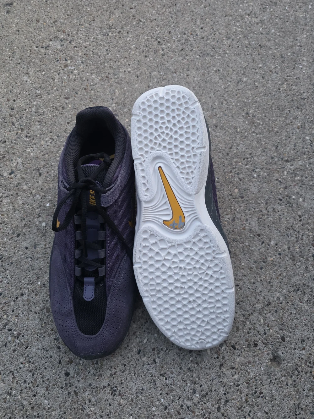 Nike Vertebrae SB 'Dark Raisin Sneaker Youth Boys 6